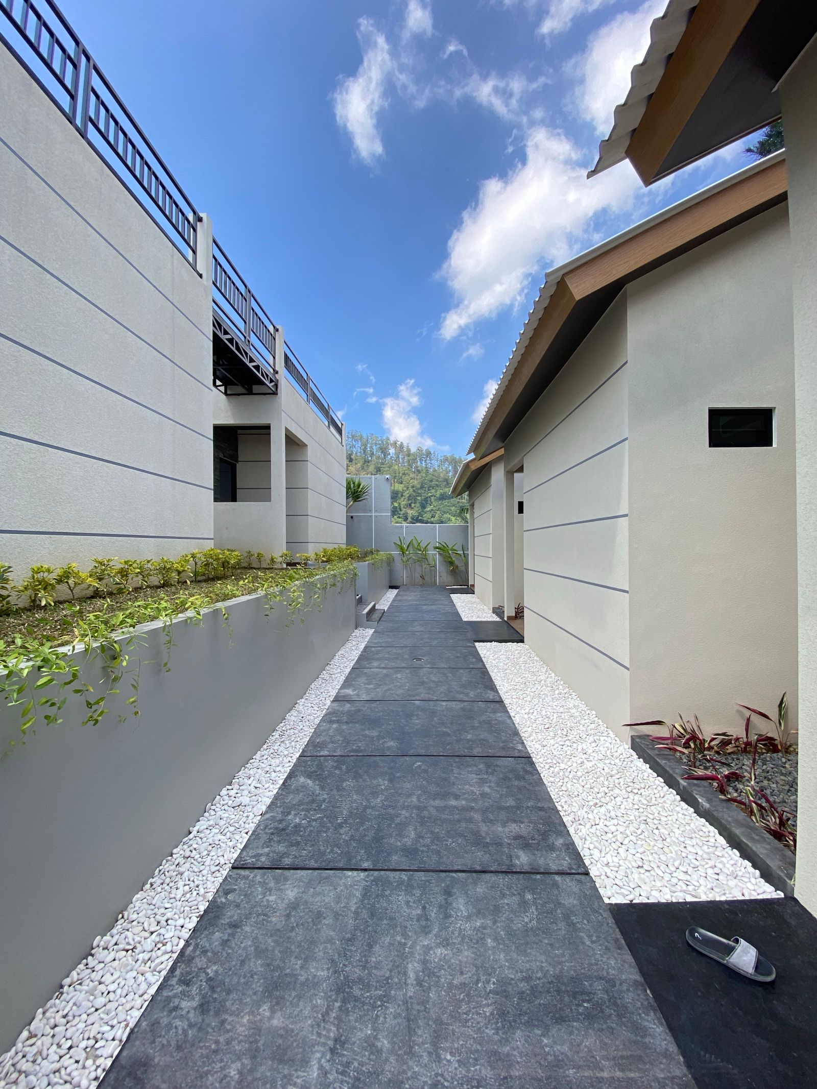 Path and border